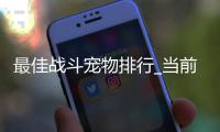 最佳战斗宠物排行_当前版本谁最强_